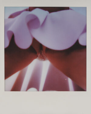 Polaroid #16 – Perfect View